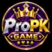 PROPK Game