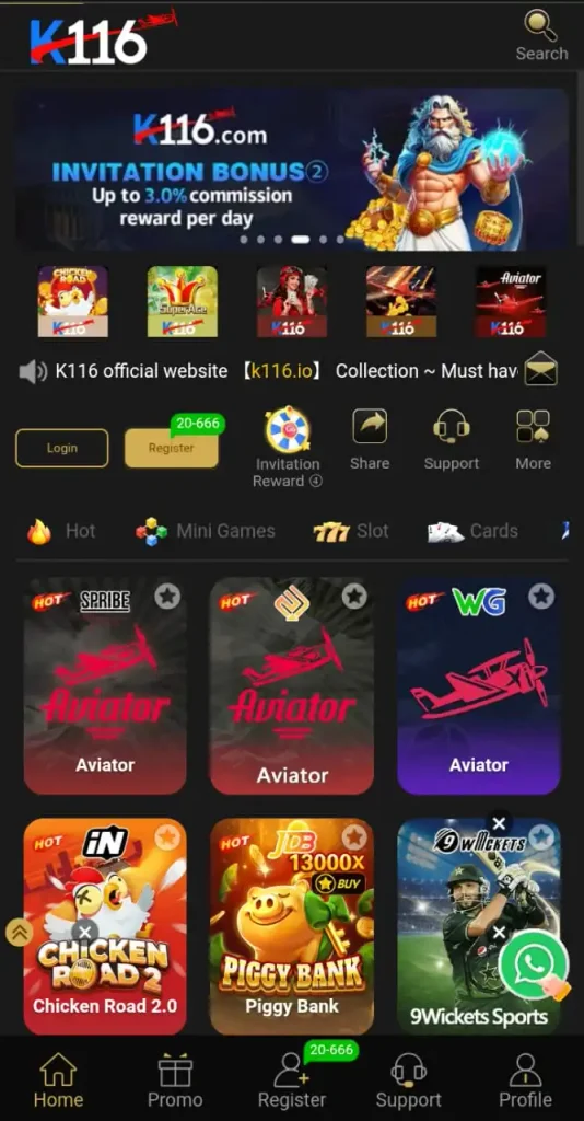 K116 Game Interface