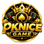 PKNICE Game
